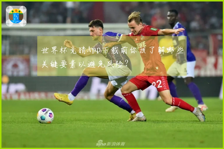 世界杯竞猜App下载前你该了解哪些关键要素以避免风险？