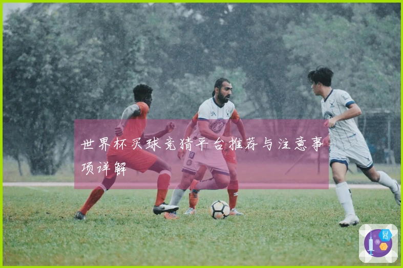 世界杯买球竞猜平台推荐与注意事项详解
