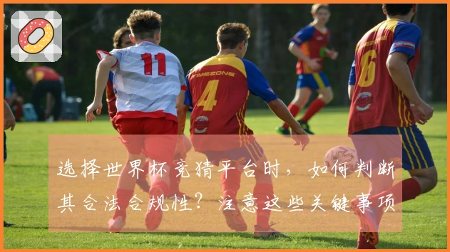选择世界杯竞猜平台时,如何判断其合法合规性?注意这些关键事项!